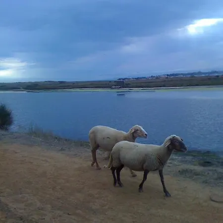 Hébergement de vacances Ecluses Mediterranee *